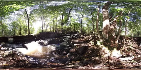 360VR video of Beautiful Forest River, Summer Vidéo 80715620