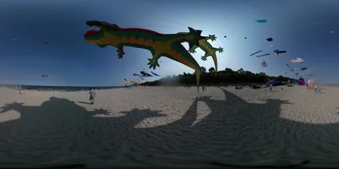 360Vr Video Crocodile Shapes Kites Are Waving Colorful Toys People Fly the Stock Footage