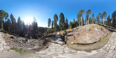360VR video of an inclined clearing split by a stony pathway in a forest on a Stock Footage 109621000