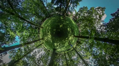 360Vr Video Man is Walking in Botanic Garden Green Lawn Park Looking Around Stock Footage 64217655