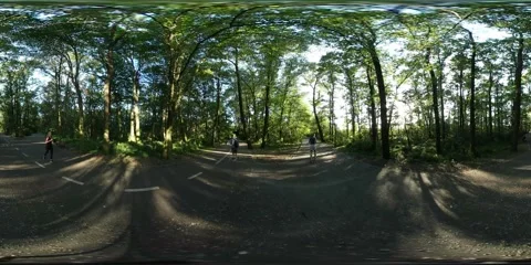 360Vr Video People Running Roller Skating Riding a Bike in Park by Roadside Stock Footage 64084685