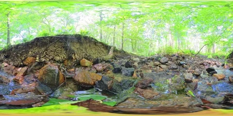 360VR Video from the Perspective of Being In The Forest Stream. 2x Speed. Stock Footage 311675543