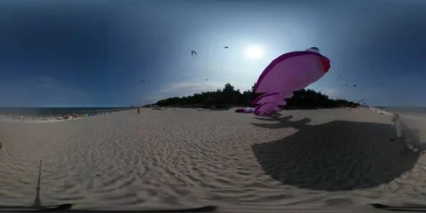 360Vr Video Purple Fish Shape Kite Flies People Fly a Kites on the Beach at Stock Footage 68981556
