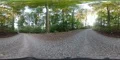 360VR way inside mountain forest environment with green beech trees 4k or 4k+ Resolution
