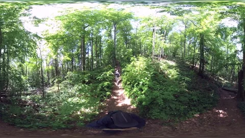 360VR, Woman wanders through the beech forest, VR360 Stock Footage 130971935