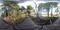 360VR Wooden pathway in Harz mountain range forest moor environment 4k or 4k+ Resolution