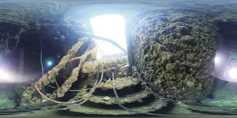 360VR Wreck Diving 1 Stock Footage 291654858