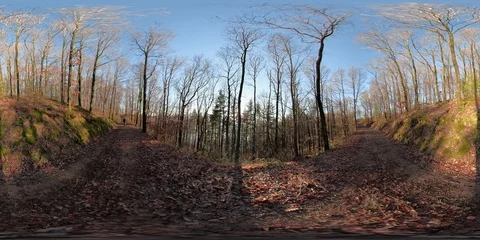 360VR Young man walking on foot path in the forest Stock Footage 101228979