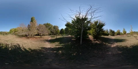 360VR young man walking on footpath in natural parkland in the shade of a tree 動画素材 96461137