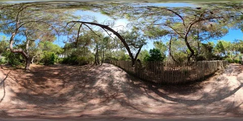 360VR Young man walking by on sandy walk in the shades of trees 動画素材 96482757