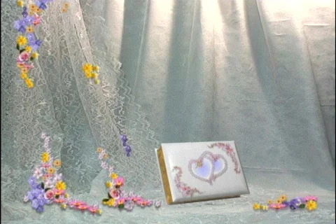 3615 Fin Stock Footage 831156