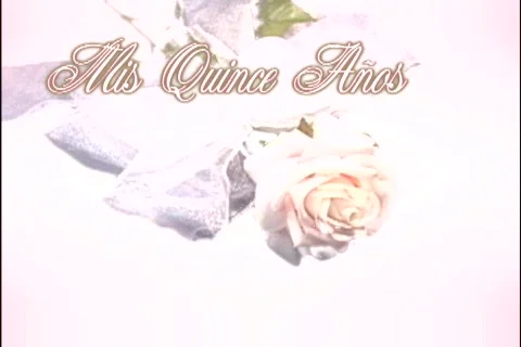 3619 Mis Quince Anos  Los Bellos Momentos de La Fiesta Stock Footage 831053