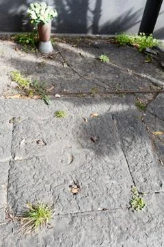 The 366 pits Stock Photos