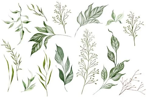 3755 Stock Illustration