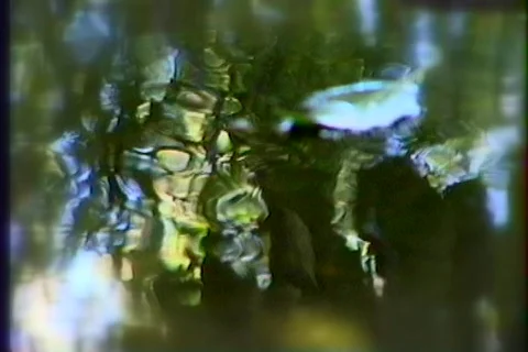 3803 reflections Stock Footage 836690