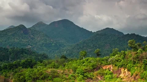 39 Mount in jungle 스톡 동영상 21904331