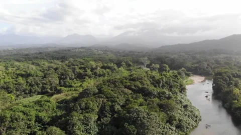 39 Palomino Stock Footage 135764980