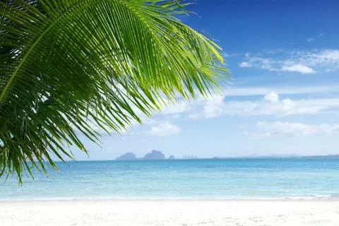 39- vacation Stock Photos