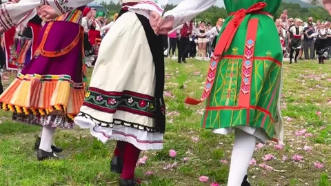 396Z IMG 1911 Видео 337566011