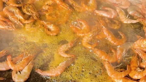 3991correct Stock Footage 316751123