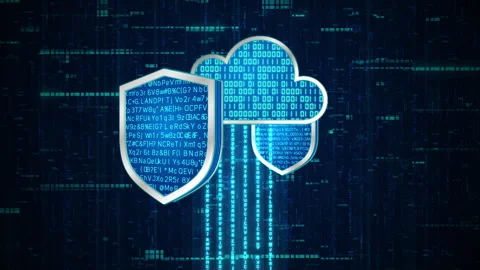 3D 2 shield with encryption data rotate around cloud system with binary code Stock Footage 242760838
