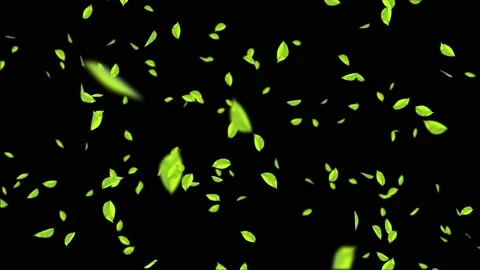 3D 4K Animation of a mint leaves Falling flow motion Loop Animation pieces of Video stock 140094604