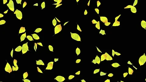 3D 4K Animation of a mint leaves Falling flow motion Loop Animation pieces of Video stock 140772423