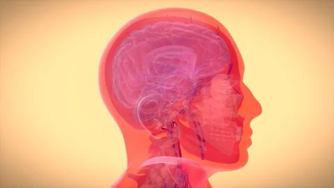 3D abstract art of a brain motion design Illustrazione stock