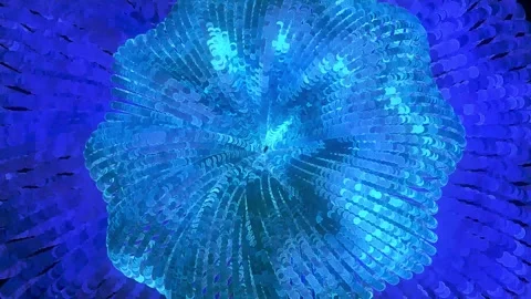3D Abstract Blue Round Spiral Tunnel with Particles. 4K Video stock 292747632