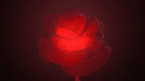 3D Abstract composition. Metaballs Flower. Animation. 4K. 스톡 동영상 122336351