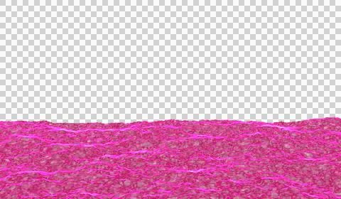 3D abstract digital technology animated pink light particles Stockillustratie
