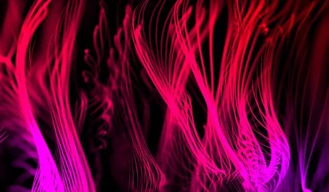 3D abstract digital technology pink light particles network wave on black b.. Stock Illustration