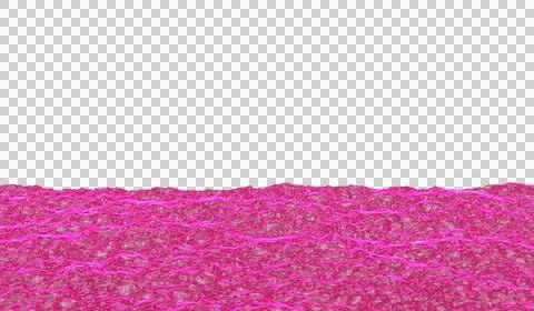 3D abstract digital technology realistic water wave river pink light particle Stockillustratie