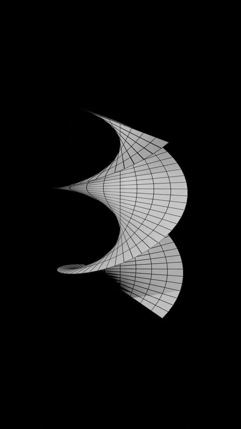 3D Abstract Geometric Helicoid wireframe loop Motion Background vertical video. 库存影片 346090097
