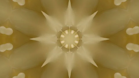 3d abstract ornate decorative background. Hypnotic trendy kaleidoscope. Stock Footage 121038973
