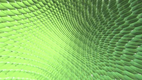 3D Abstract Pattern Green Scales with Reflections Loop Stock Footage 83871395