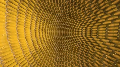 3D Abstract Pattern Orange Scales with Reflections Loop Stock Footage 83871971