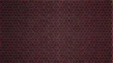 3D Abstract shining bright lines set wave,dots colorful, black background Stock Footage 243310071