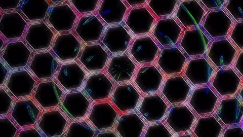 3D Abstract shining bright lines set wave,dots colorful, black background Video stock 255808985