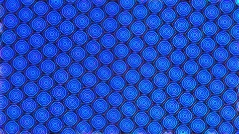 3D Abstract shining bright lines set wave,dots colorful, black background Stock-Footage 265864214