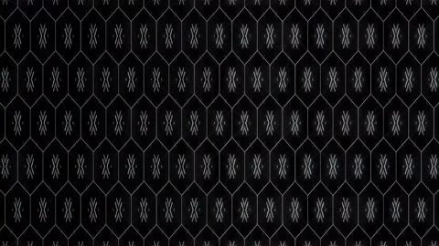 3D Abstract shining bright lines set wave,dots colorful, black background 스톡 동영상 295383921