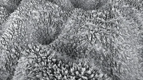 3d abstract surface like wave or fur surface, computer generated 3d render Stock Footage 113060704