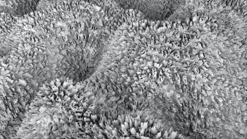 3d abstract surface like wave or fur surface, computer generated 3d render 스톡 일러스트