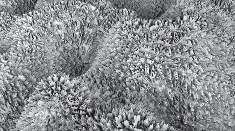 3d abstract surface like wave or fur surface, computer generated 3d render... Foto stock