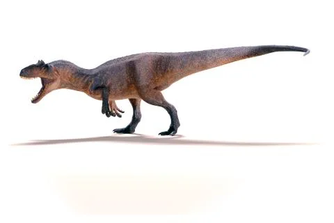 3d Allosaurus render on white background Stock Illustration