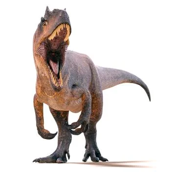 3d Allosaurus render on white background Stock Illustration