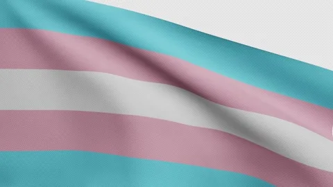 3D Alpha channel Transsexuality flag on wind. Transsexual banner blowing.-Dan Stock Footage 154027201