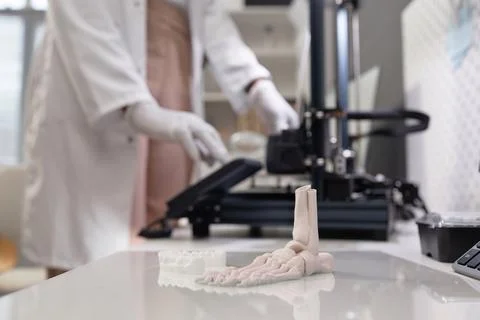 3D Anatomical Models on Print Bed Foto stock