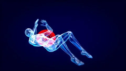 3D anatomy of a man doing situps Ilustración de archivo