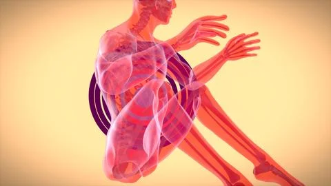 3D anatomy of a man doing situps Ilustración de archivo